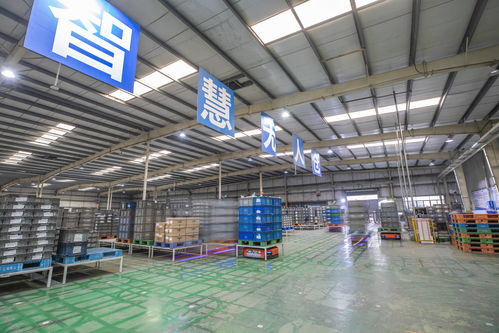 重庆 以智能化驱动转型升级，汽车零配件批发行业质效双提升